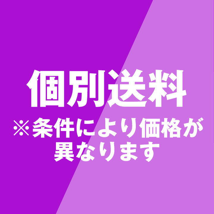 個別送料（大型便など）